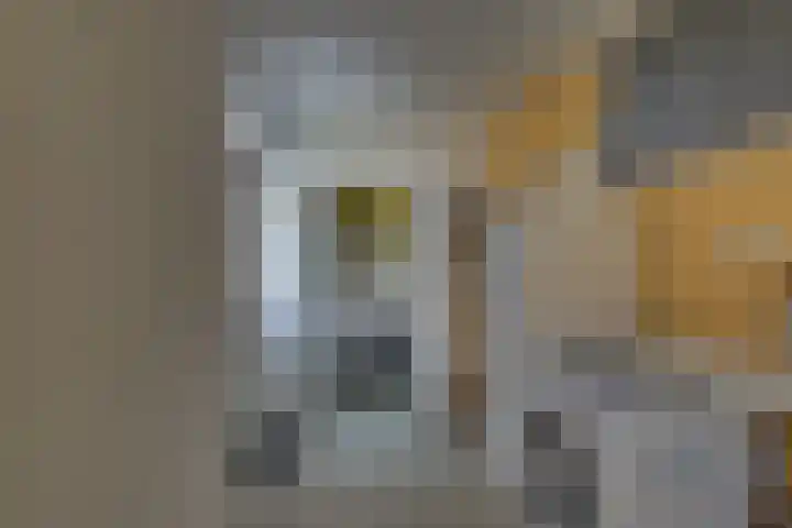 Zilverschoon 18 Kampen thumbnail 30