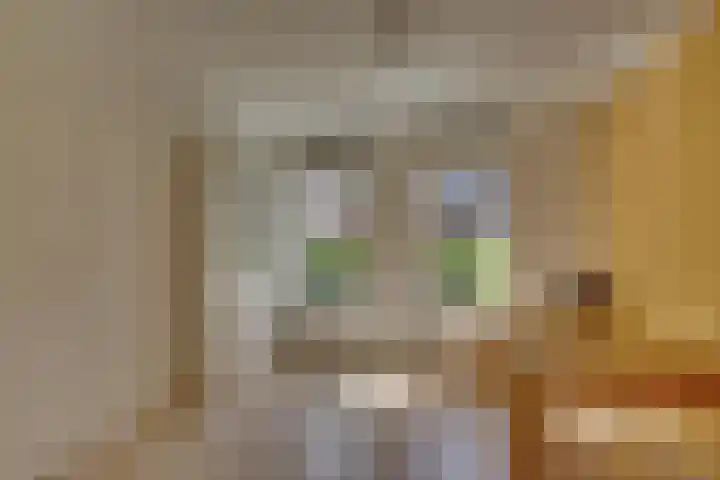 Zilverschoon 18 Kampen thumbnail 34