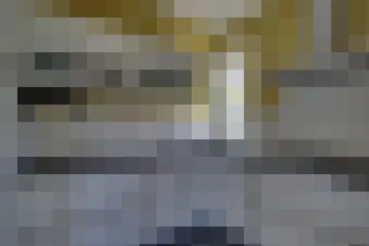 Zilverschoon 18 Kampen thumbnail 4