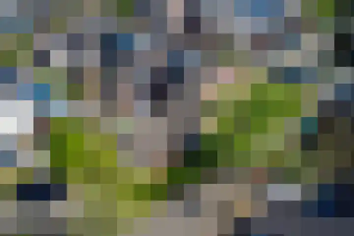 Zilverschoon 18 Kampen thumbnail 43