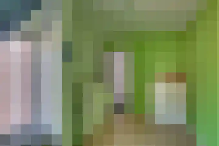Zilverschoon 18 Kampen thumbnail 48
