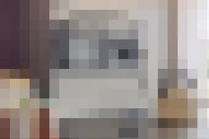 Zilverschoon 18 Made thumbnail 17