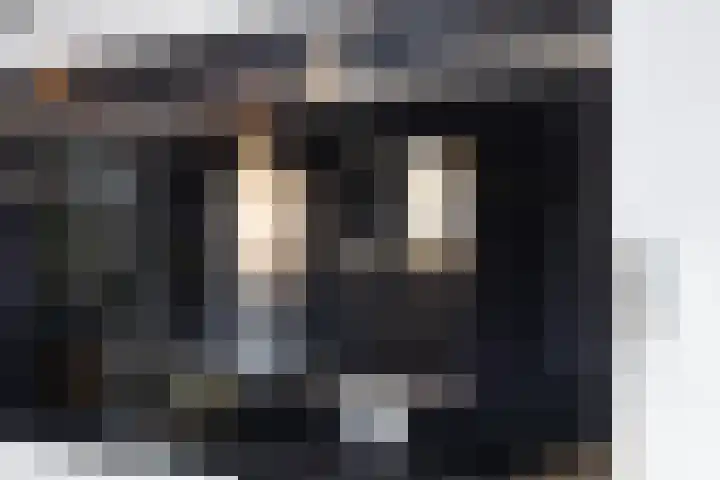 Zilverschoon 18 Made thumbnail 19