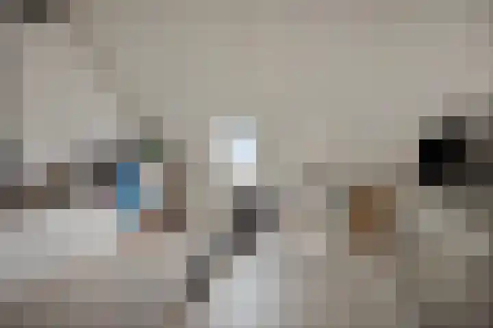 Zilverschoon 18 Made thumbnail 28