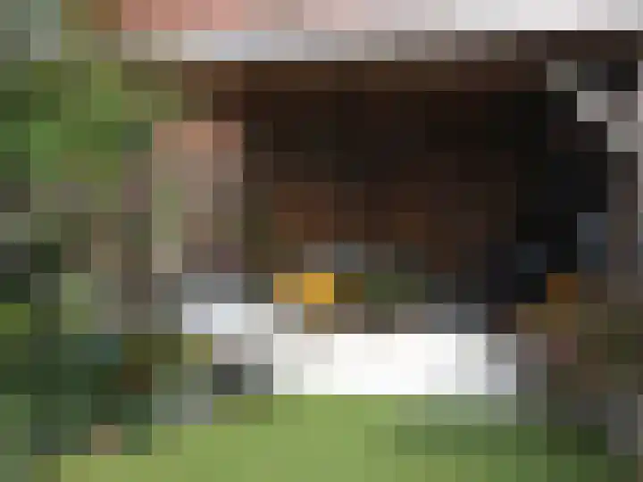 Zilverschoon 18 Made thumbnail 35