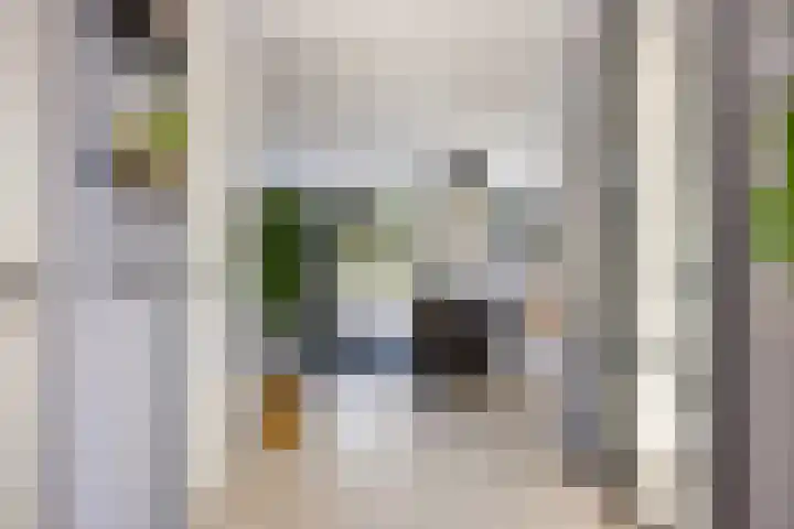 Zilverschoon 18 Made thumbnail 5