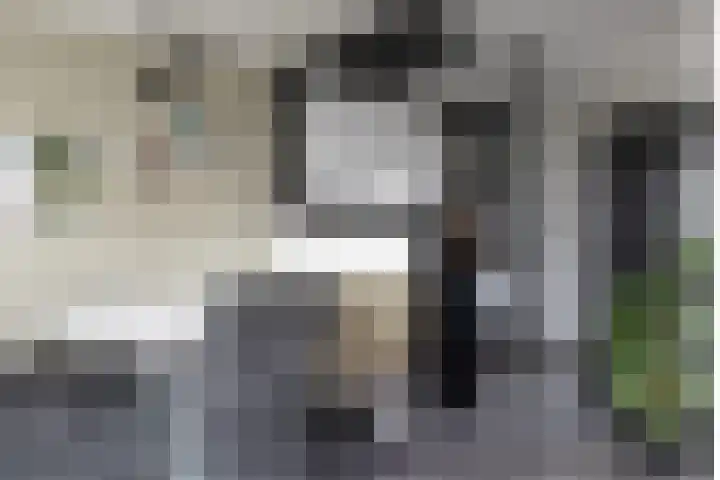 Zilverschoon 2 Sneek thumbnail 12