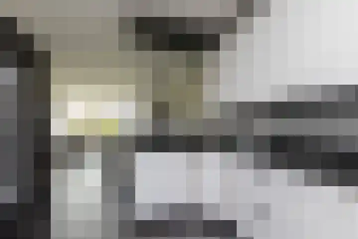 Zilverschoon 2 Sneek thumbnail 13