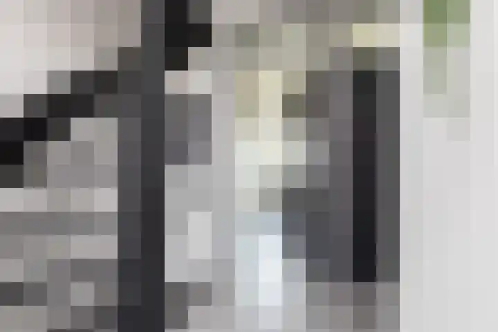 Zilverschoon 2 Sneek thumbnail 20