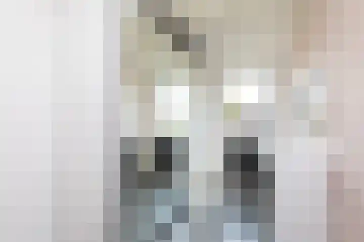 Zilverschoon 2 Sneek thumbnail 21