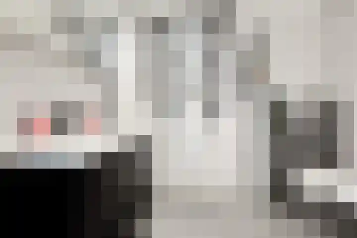 Zilverschoon 2 Sneek thumbnail 24