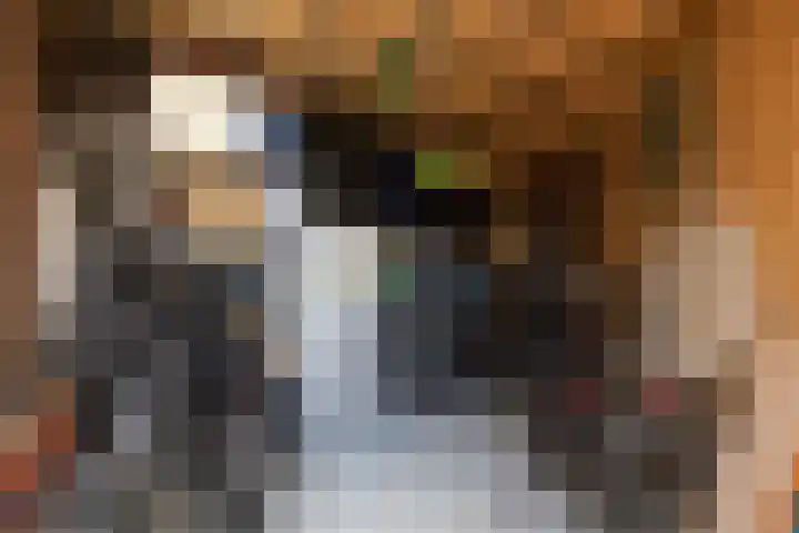 Zilverschoon 2 Sneek thumbnail 36