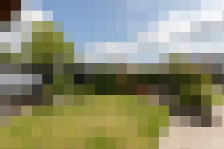 Zilverschoon 2 Sneek thumbnail 4