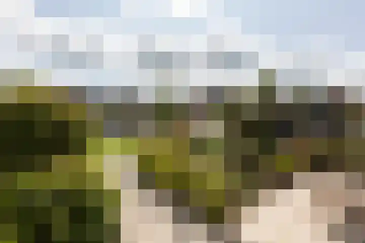 Zilverschoon 2 Sneek thumbnail 41