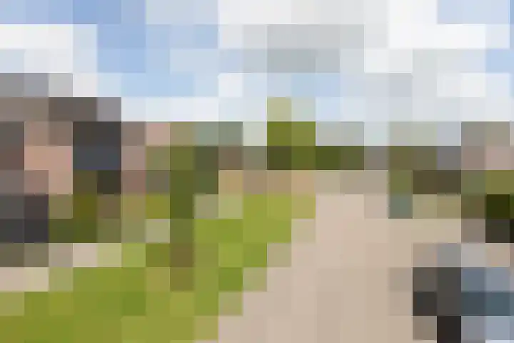 Zilverschoon 2 Sneek thumbnail 43