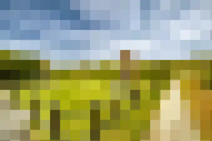 Zilverschoon 21 Katwijk thumbnail 36