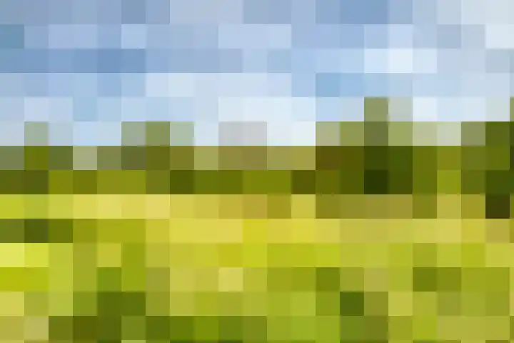 Zilverschoon 21 Katwijk thumbnail 5