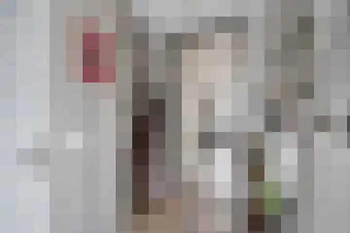 Zilverschoon 21 Katwijk thumbnail 9