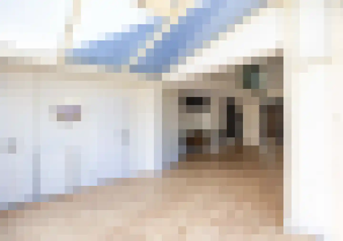 Zilverschoon 21 Venray thumbnail 13