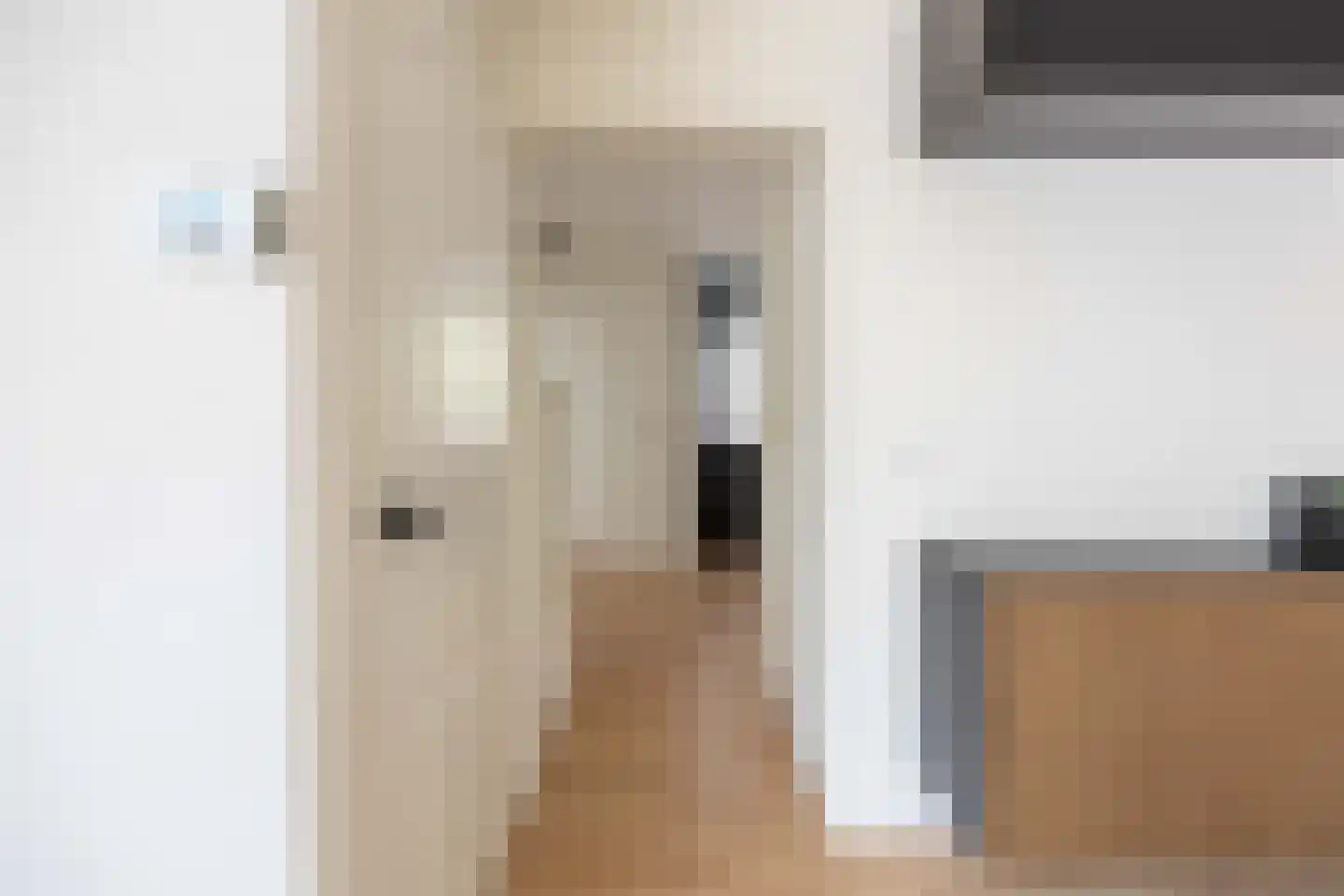 Zilverschoon 21 Venray thumbnail 18