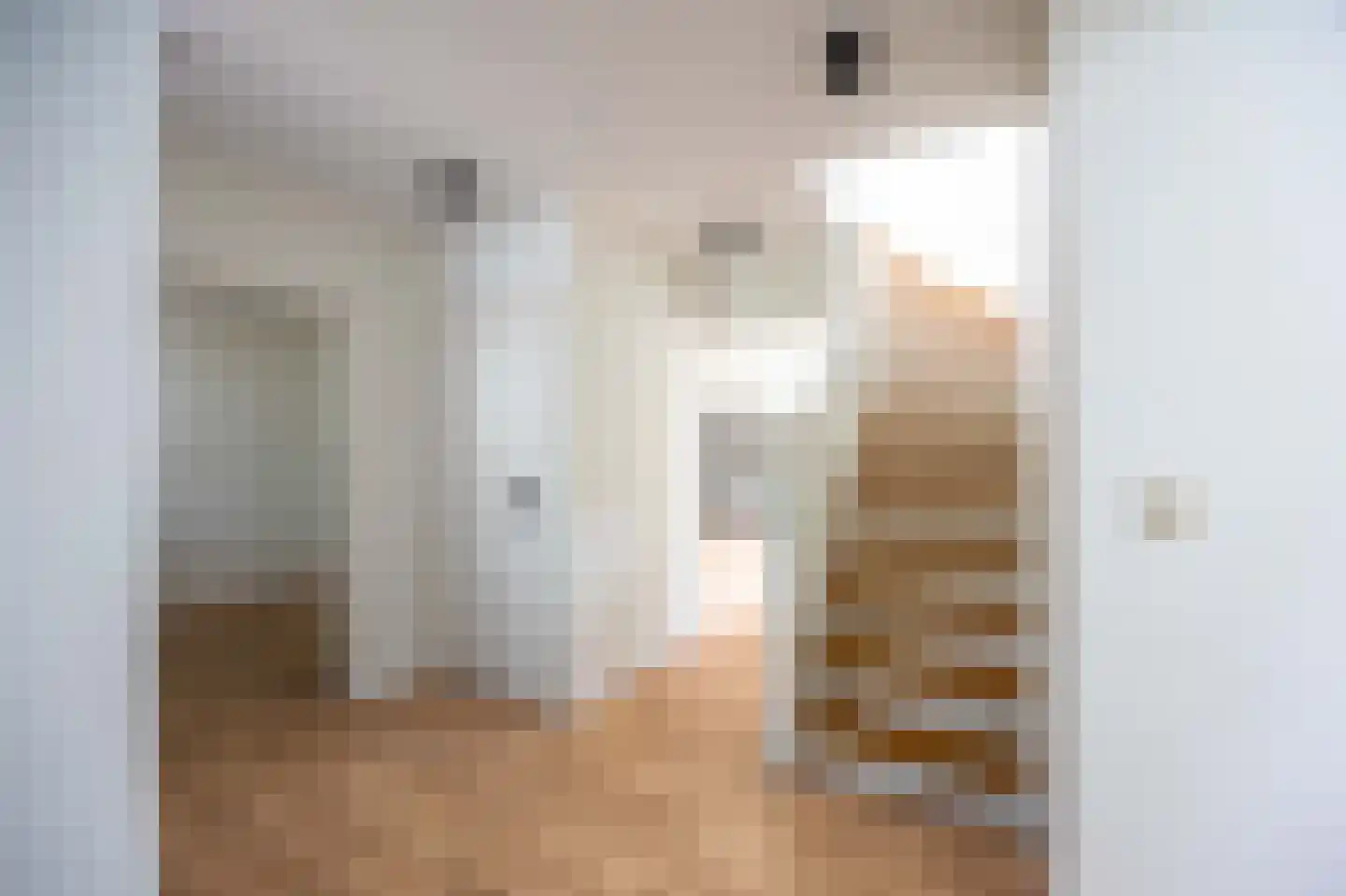 Zilverschoon 21 Venray thumbnail 20