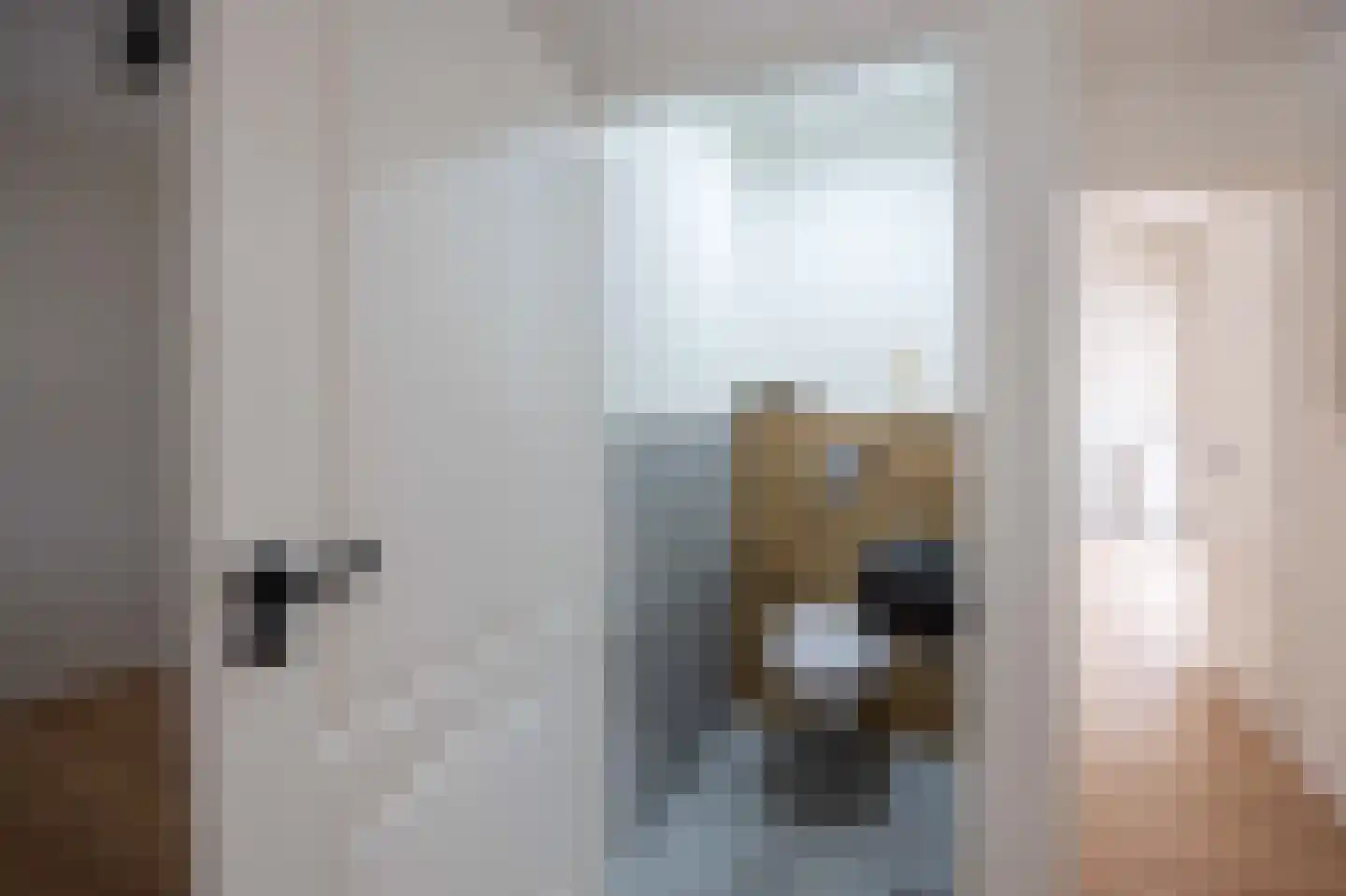 Zilverschoon 21 Venray thumbnail 21