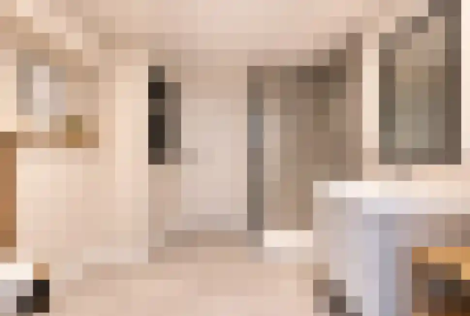 Zilverschoon 21 Venray thumbnail 26