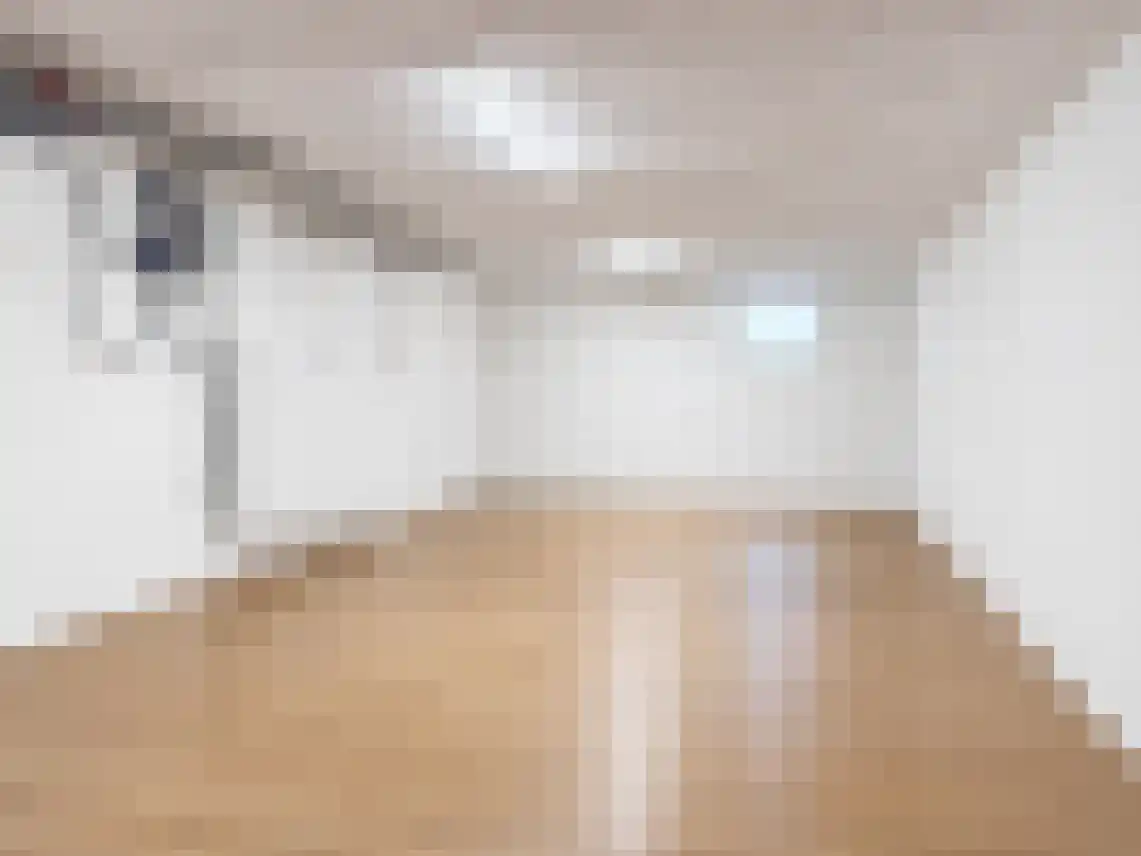 Zilverschoon 21 Venray thumbnail 29