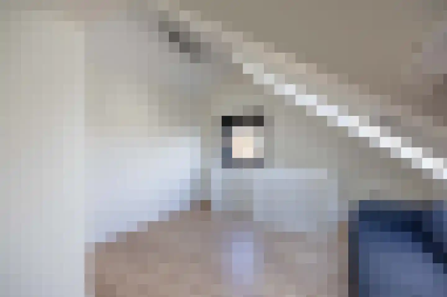 Zilverschoon 21 Venray thumbnail 30