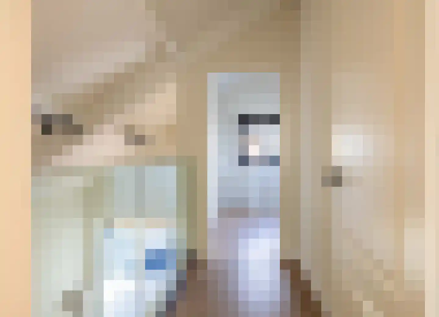 Zilverschoon 21 Venray thumbnail 32