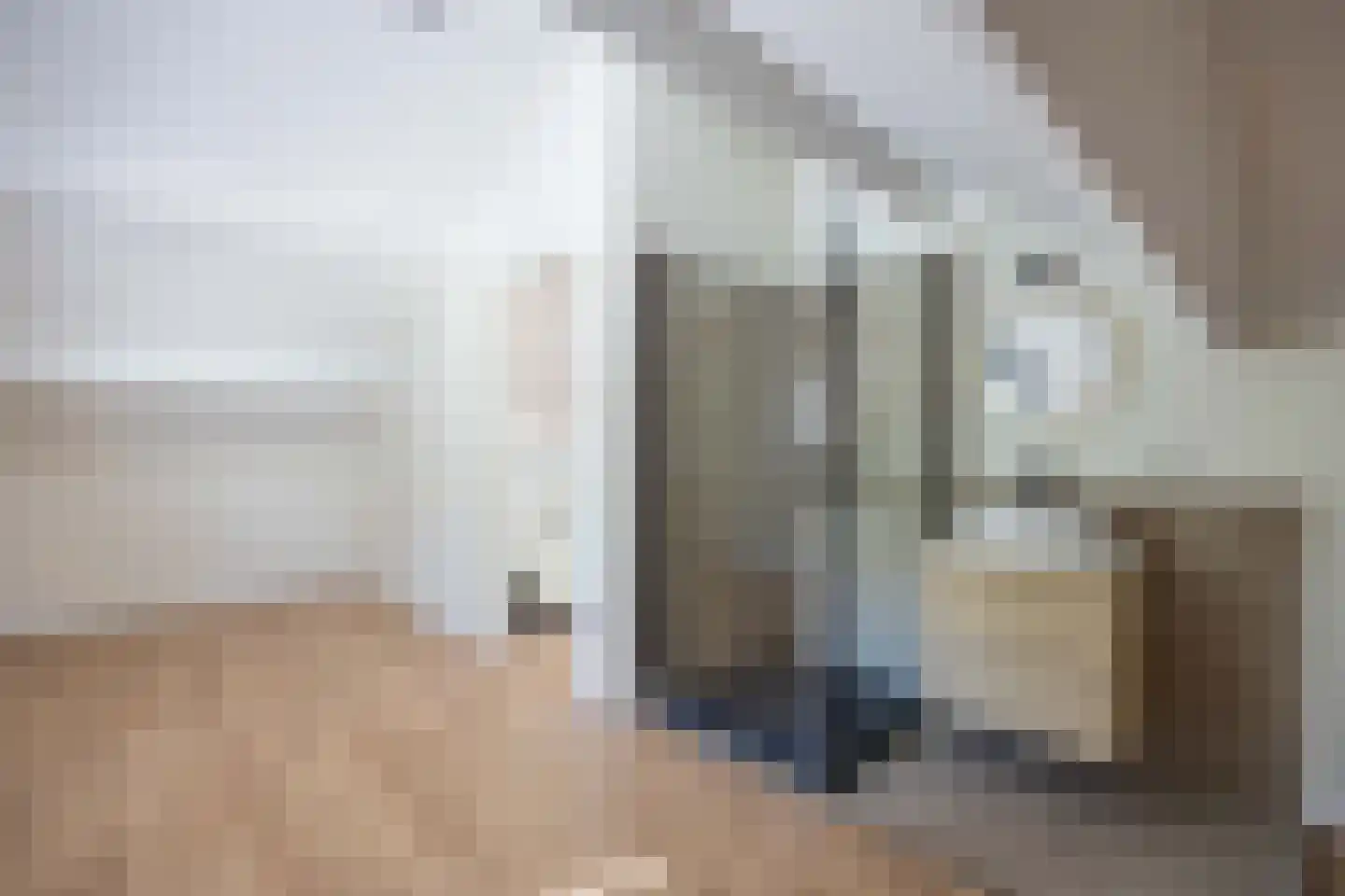 Zilverschoon 21 Venray thumbnail 34