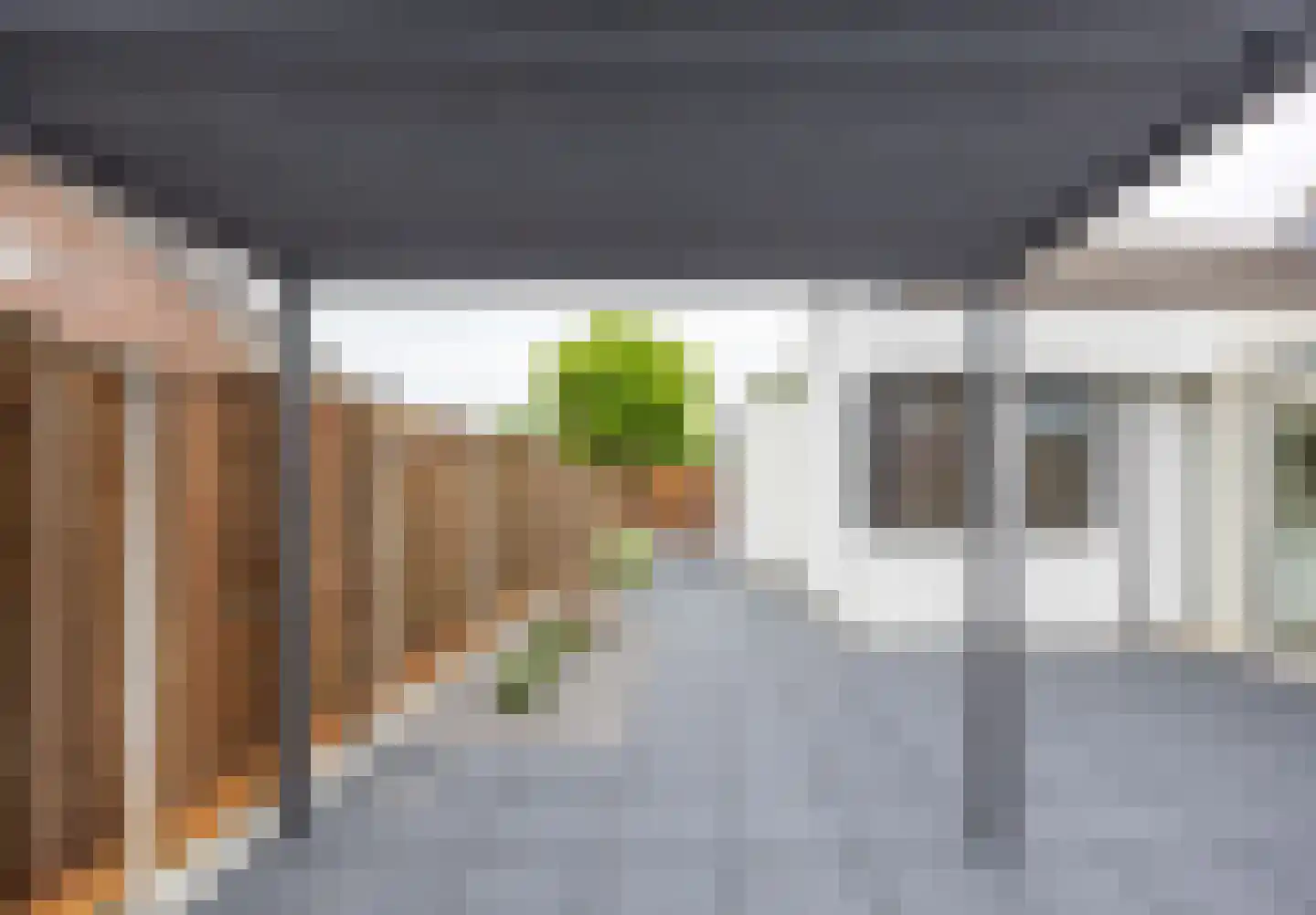 Zilverschoon 21 Venray thumbnail 37
