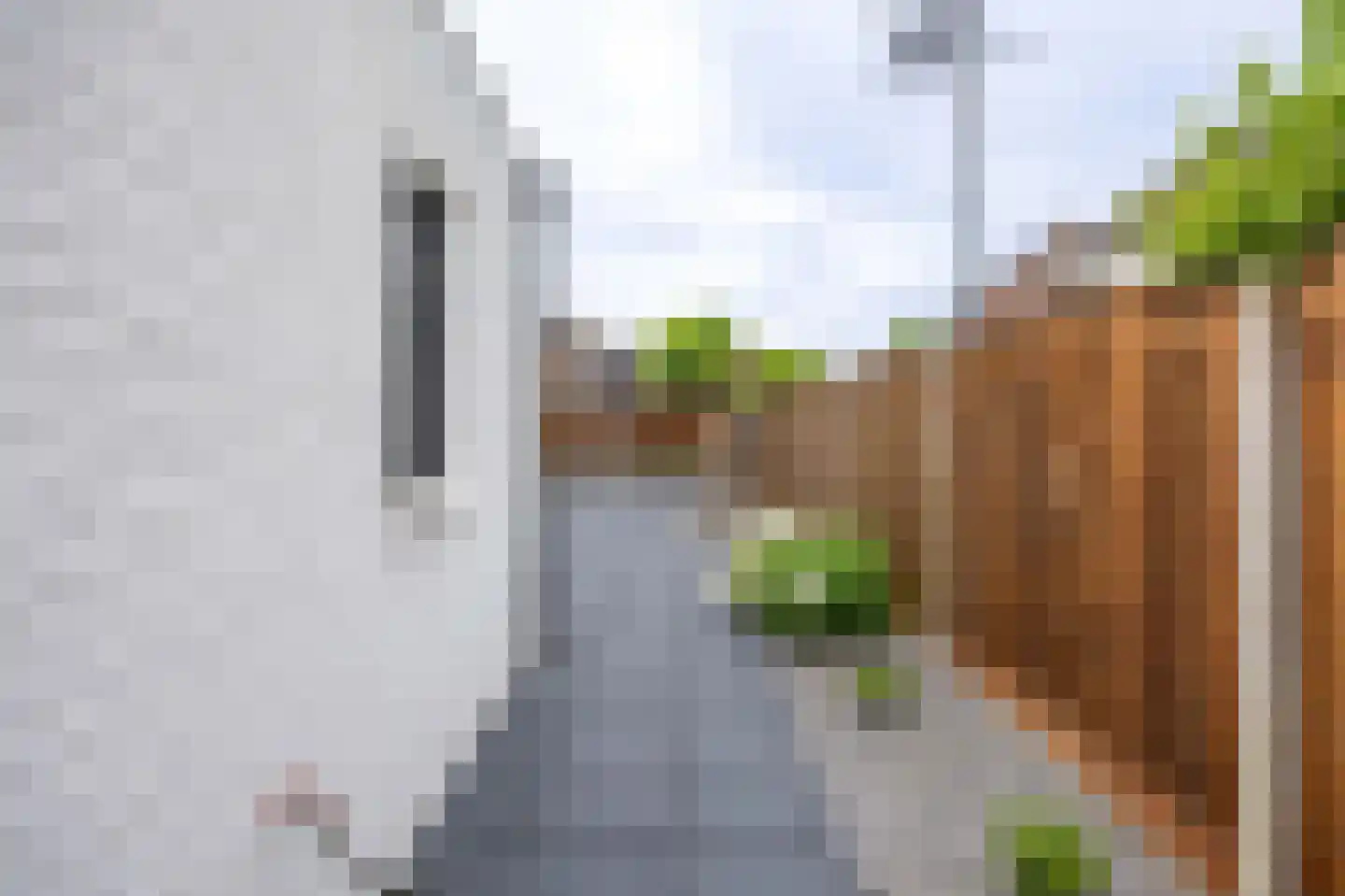 Zilverschoon 21 Venray thumbnail 40