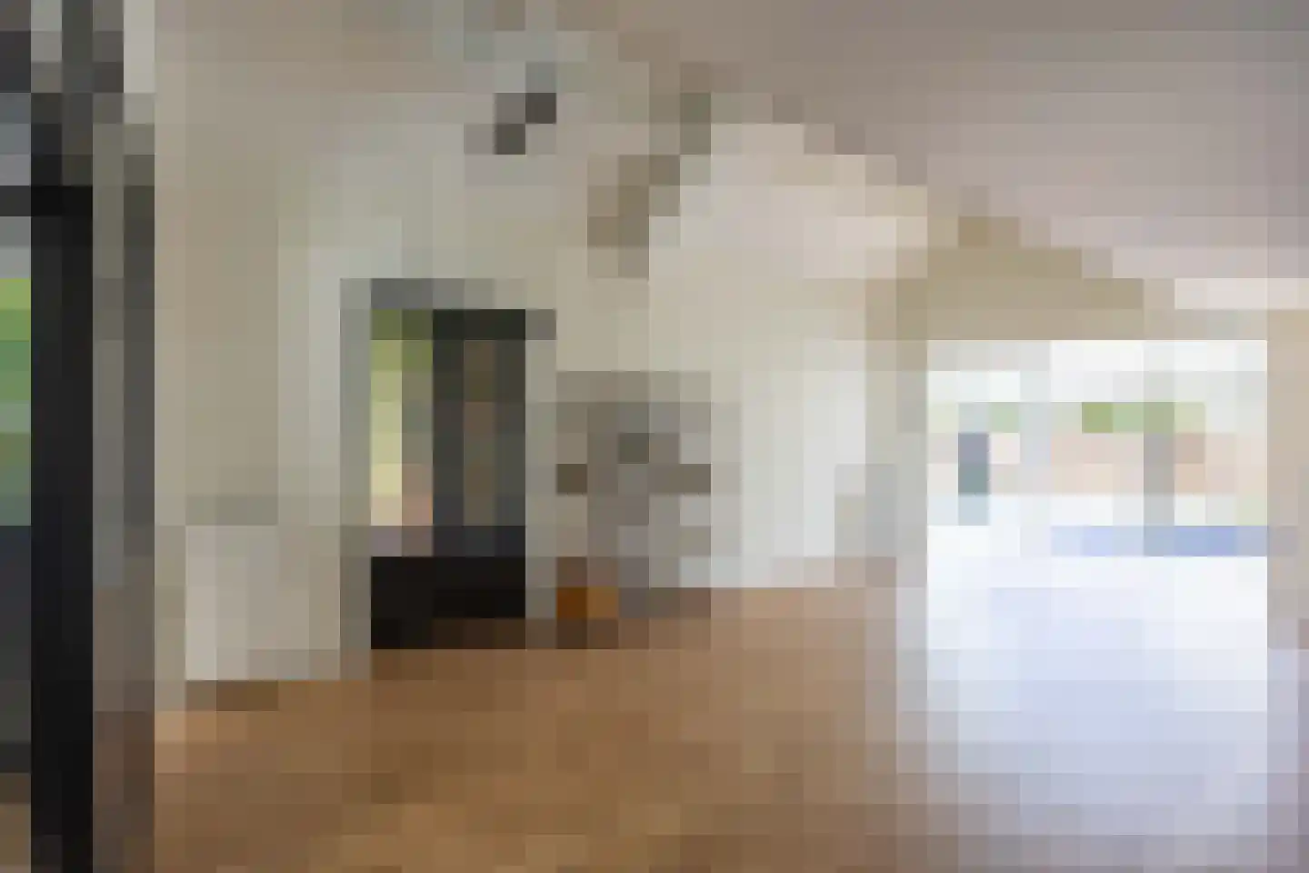 Zilverschoon 21 Venray thumbnail 6