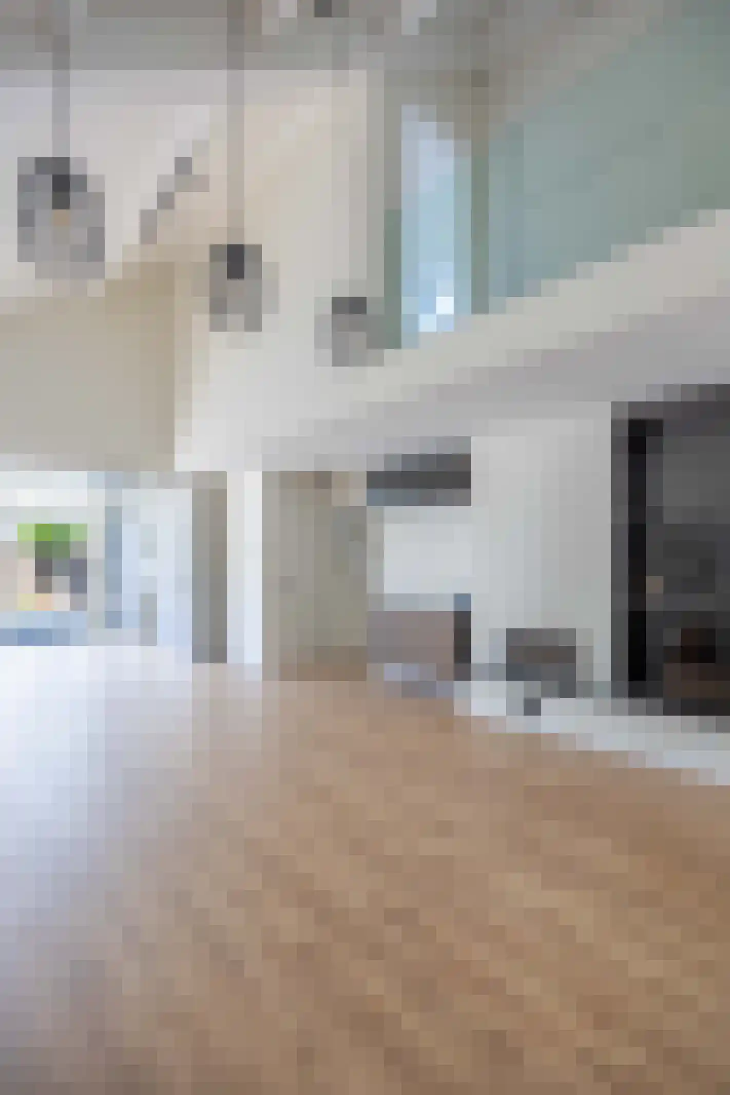 Zilverschoon 21 Venray thumbnail 8