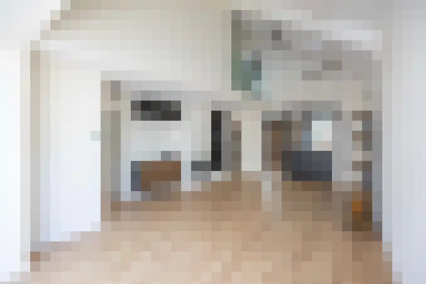 Zilverschoon 21 Venray thumbnail 9