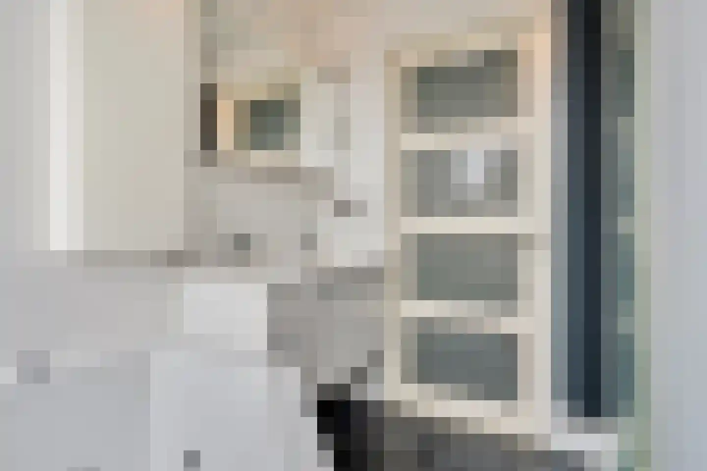 Zilverschoon 22 Goirle thumbnail 18