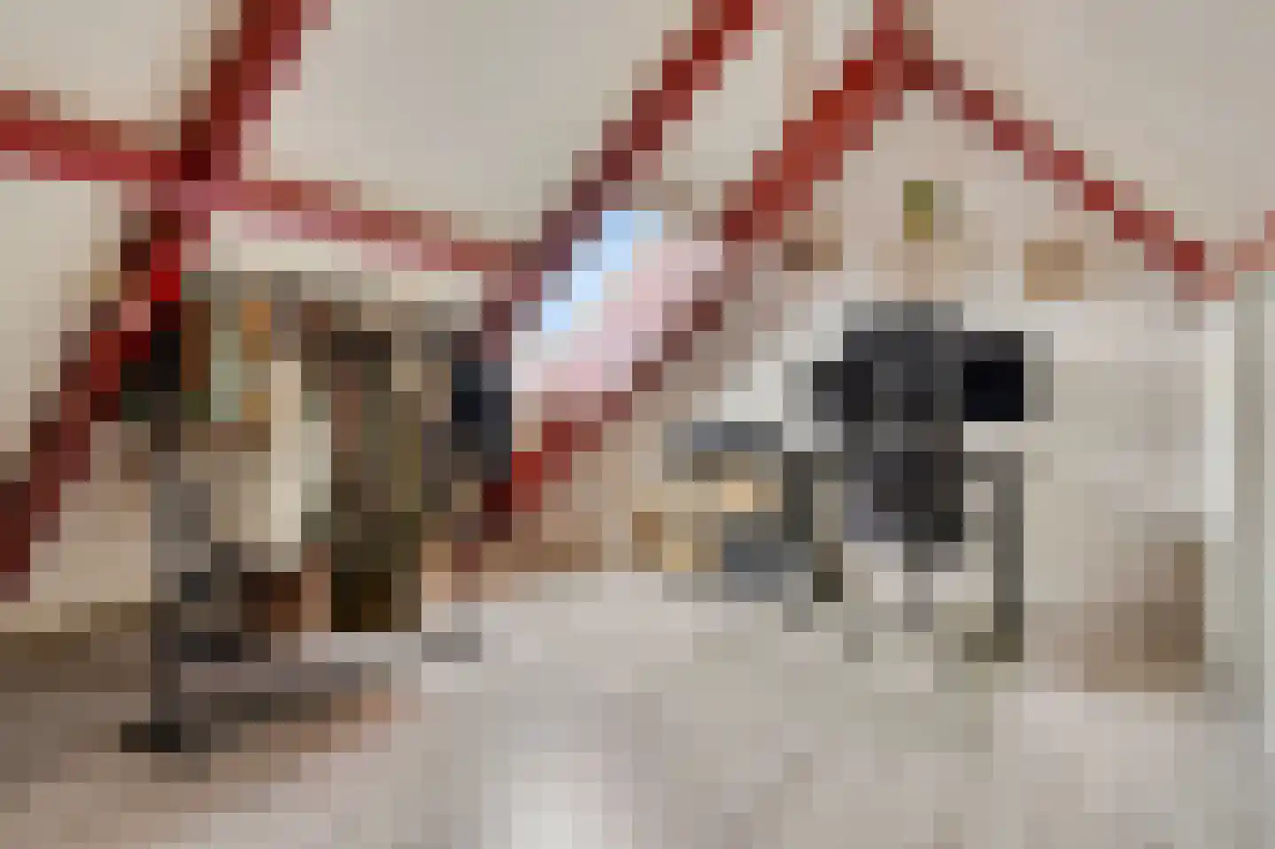 Zilverschoon 22 Goirle thumbnail 22