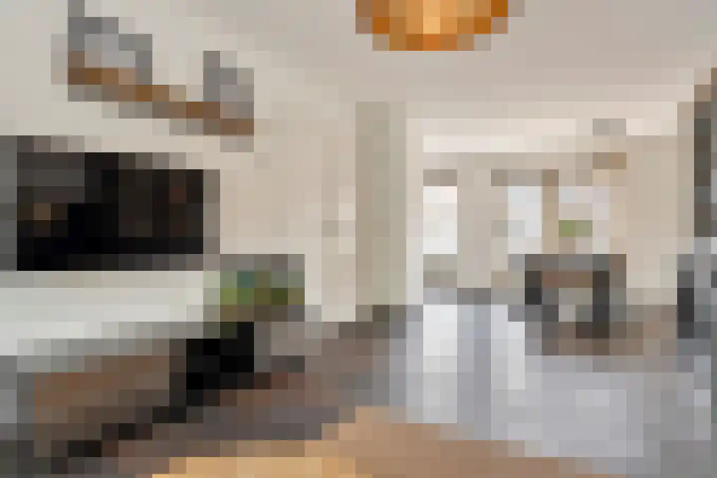 Zilverschoon 22 Goirle thumbnail 4