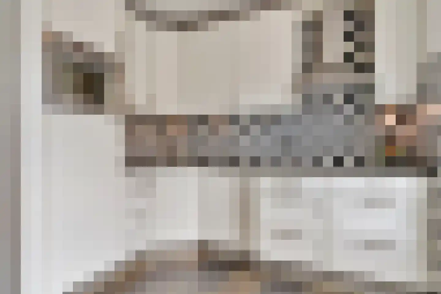 Zilverschoon 22 Goirle thumbnail 9