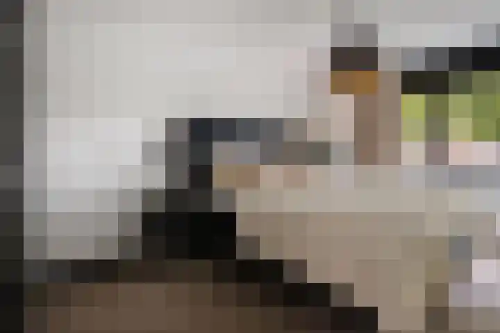 Zilverschoon 220 Oldenzaal thumbnail 34