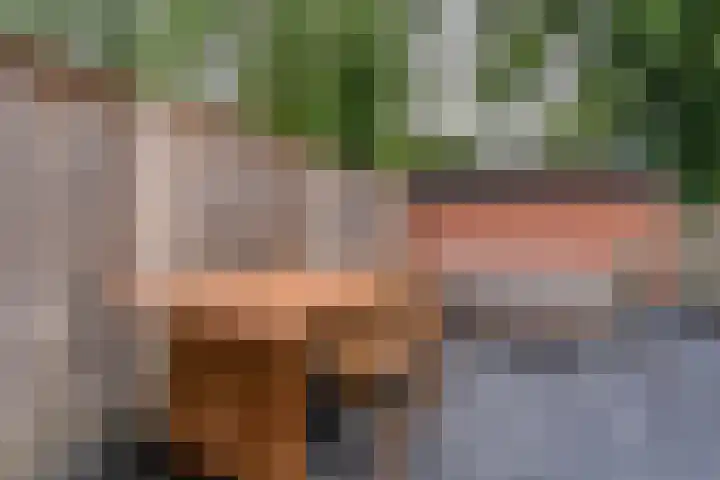 Zilverschoon 222 Oldenzaal thumbnail 19