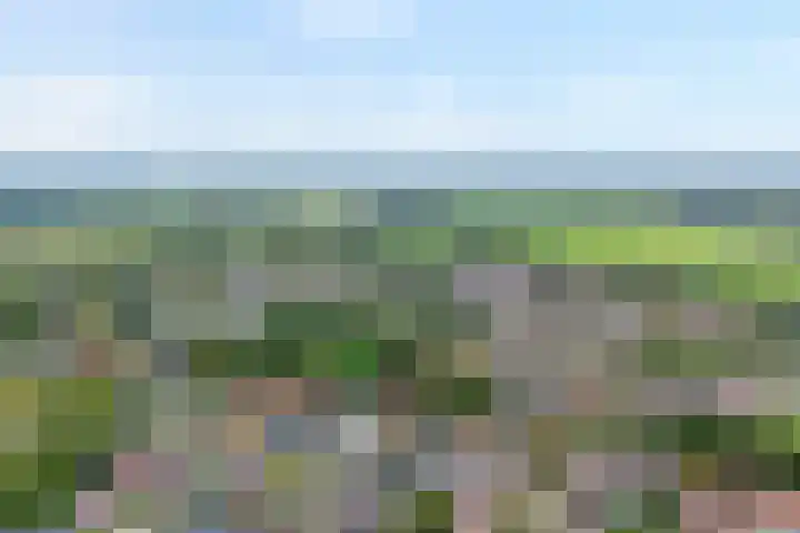 Zilverschoon 222 Oldenzaal thumbnail 21