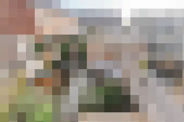 Zilverschoon 23 Hazerswoude-Dorp thumbnail 21
