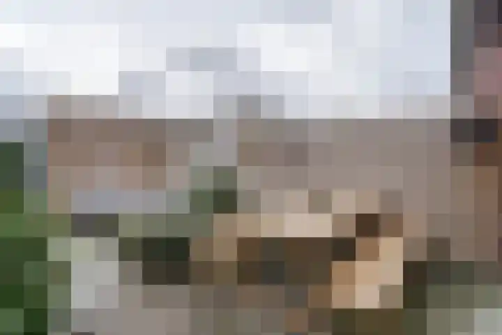 Zilverschoon 23 Hazerswoude-Dorp thumbnail 22