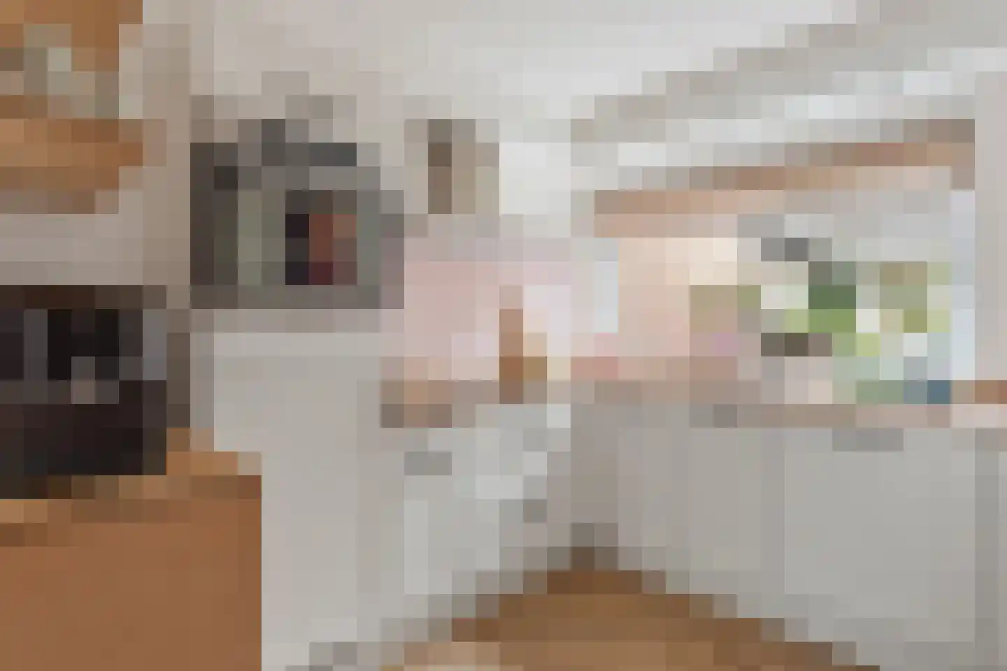 Zilverschoon 24 Oldenzaal thumbnail 10
