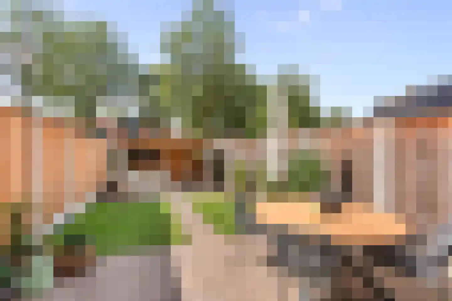 Zilverschoon 24 Oldenzaal thumbnail 19