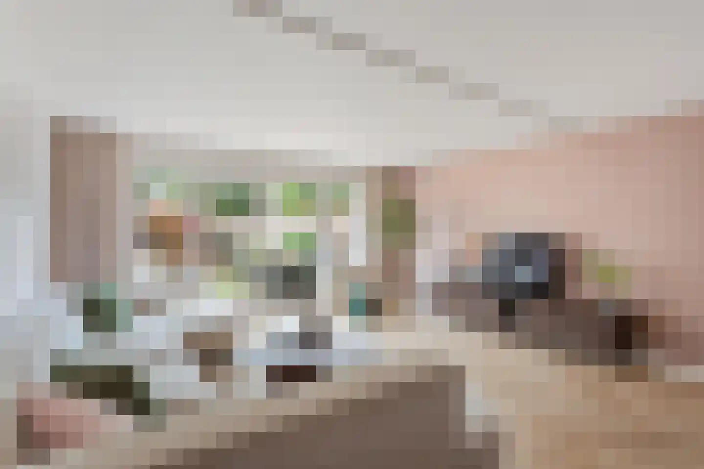 Zilverschoon 24 Oldenzaal thumbnail 7