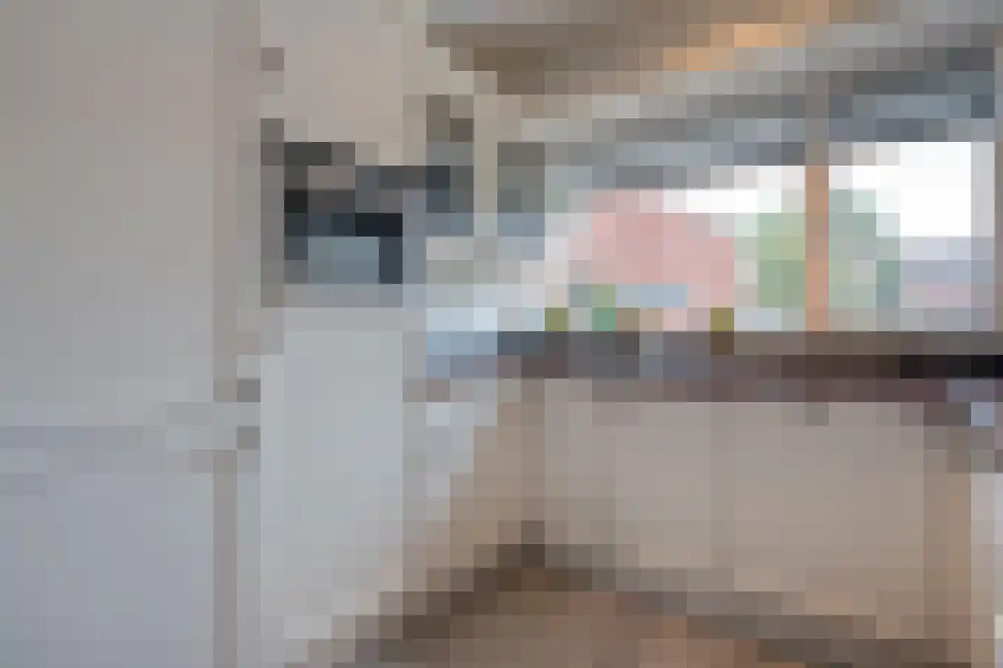 Zilverschoon 242 Oldenzaal thumbnail 14