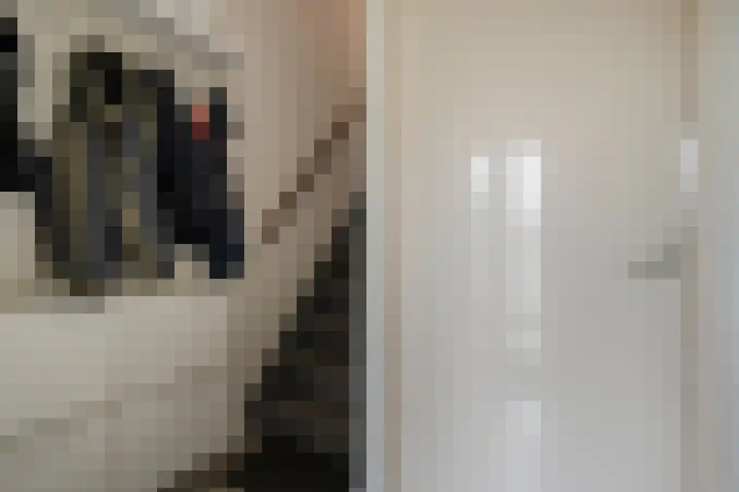 Zilverschoon 242 Oldenzaal thumbnail 7